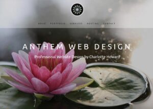 Anthem Arizona Web Design Companies