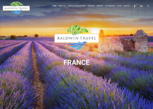Web Design for Travel Agents