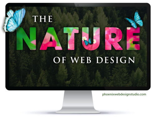 The Nature of Web Design Services: Our Process